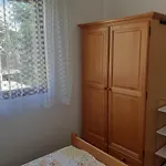 Apartman With A Parking Space Malinska, Krk - 19291 Malinska